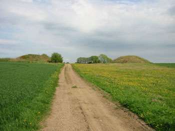 Hvalshøje